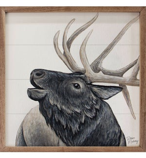 Elk By Robin Sue Studio